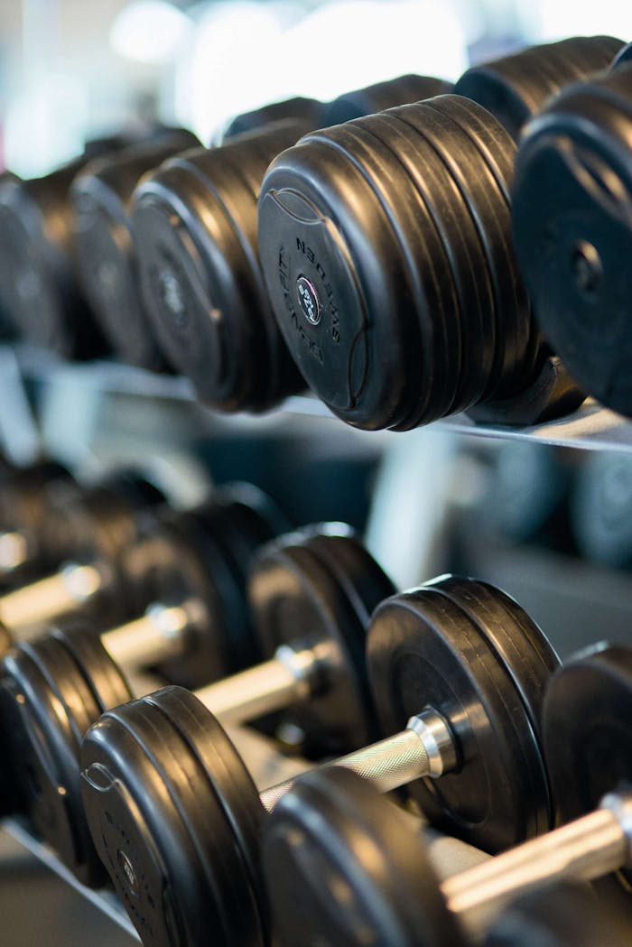 services-01 Close-up view of black dumbbells neatly arranged on a rack in a gym.