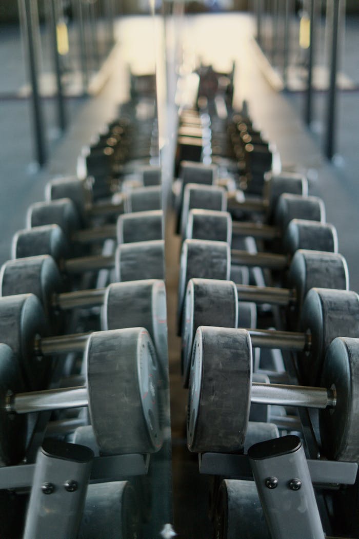 services-04 Dumbbells neatly organized on a rack, perfectly mirrored, exemplifying modern gym equipment organization.